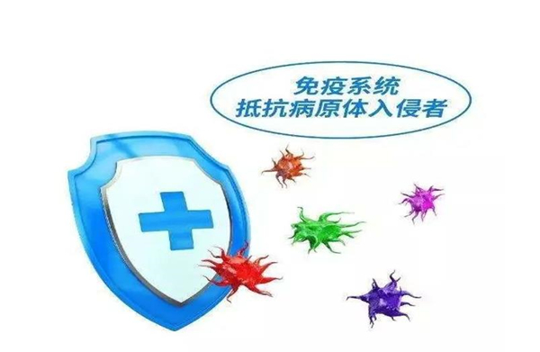 雷火竞技app官方网站