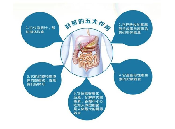 雷火竞技app官方网站