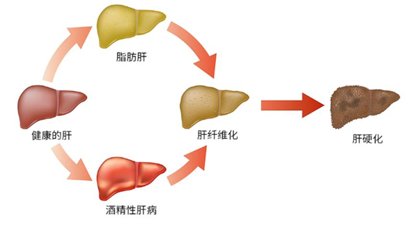 雷火竞技app官方网站